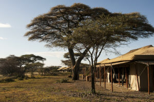 tanzania serengeti mara under canvas tented camp 17