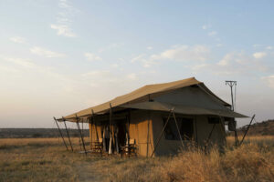 tanzania serengeti mara under canvas tented camp 5