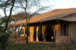 tanzania serengeti mara under canvas tented camp 9