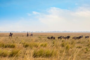 zambia simalaha horse safaris 10