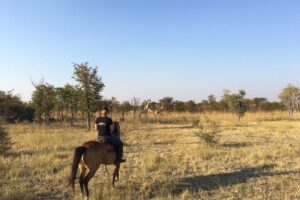 zambia simalaha horse safaris 2