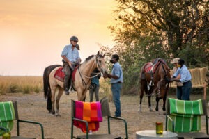 zambia simalaha horse safaris 22