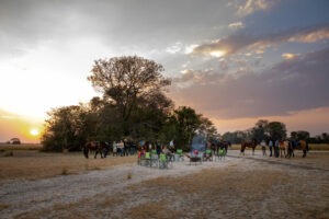 zambia simalaha horse safaris 23