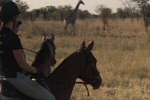 zambia simalaha horse safaris 5