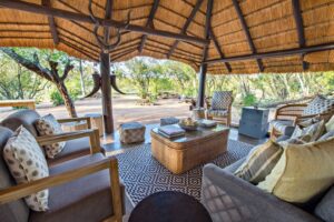 pungwe safari camp manyaleti south africa 7