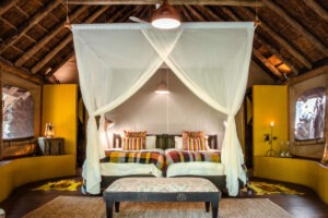 south africa madikwe game reserve jacis safari lodge tented suites4