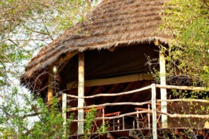 south africa madikwe game reserve jacis safari lodge tented suites7
