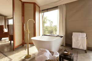 south africa timbavati private nature reserve thamabati luxury tented camp 24