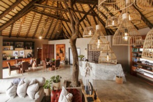 south africa timbavati private nature reserve thamabati luxury tented camp 33