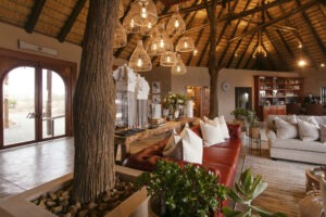 south africa timbavati private nature reserve thamabati luxury tented camp 34