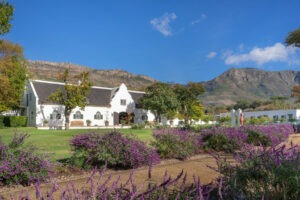 south africa cape town steenberg hotel and spa6