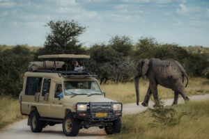 jason and emilie photo workshop namibia tour safari 3