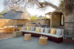 south africa timbavati game reserve makanyi private lodge6