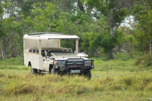 botswana mobile safaris wildlife landscapes bushways sable 25